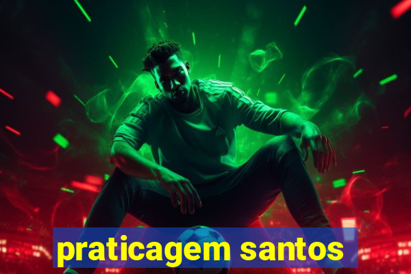 praticagem santos